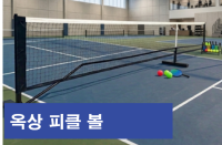 피클 볼.png